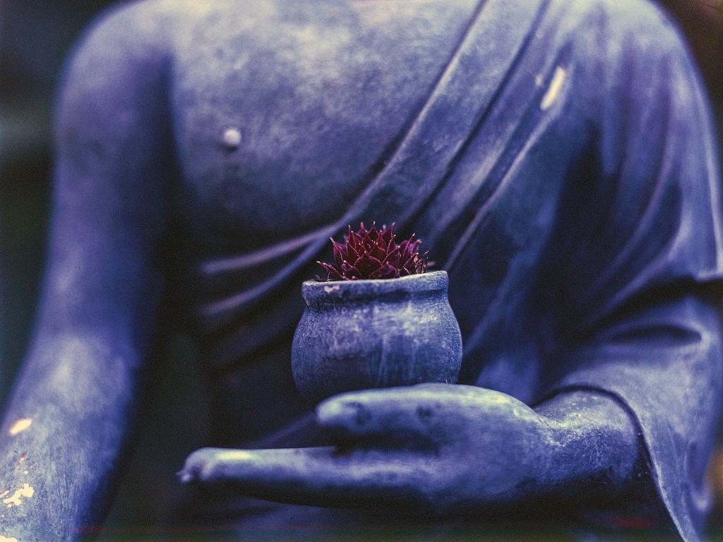 Buddha tanítás: vigyázzunk a Földre, hogy tovább tudjuk adni utódainknak!